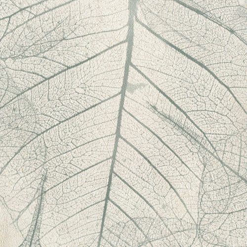Leaves - Newmor Wallcoverings