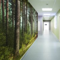 trees forest bespoke custom digitally printed textured wide width fabric backed vinyl wallcovering for healthcare hospital interiors